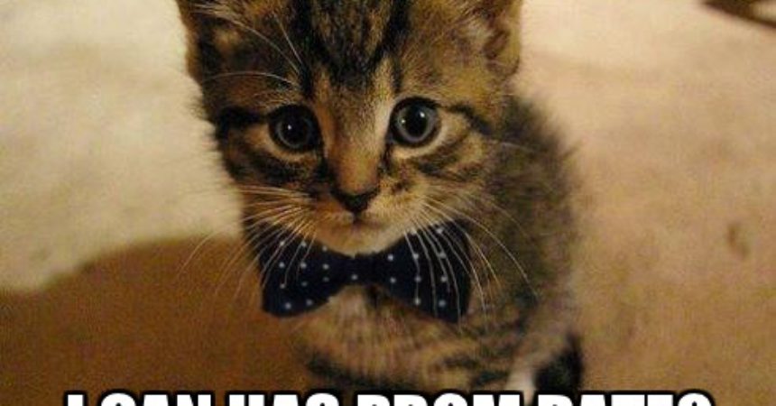 La Lingua dei LOLCAT su Twitter! La Lingua dei LOLCAT su Twitter!