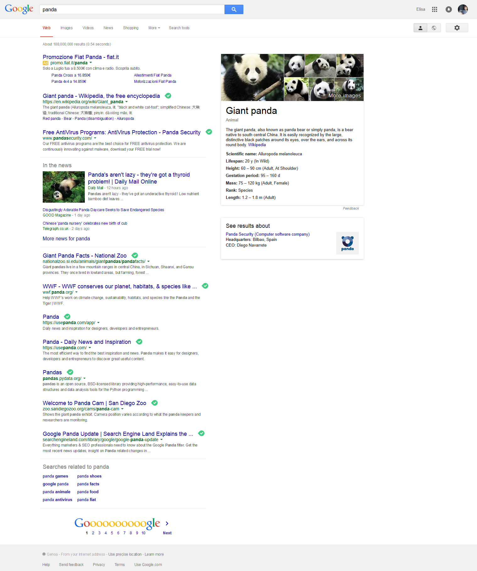 La SEO, il primo posto su Google e il Panda